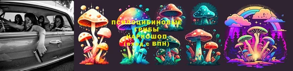 PSILOCYBIN Армянск